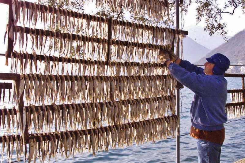drying of sardines in monteisola
